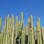 Villa Kaiman 18 By Villagrancanaria
